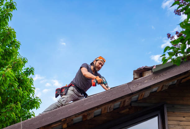 Best Solar Panel Roofing Installation  in Frent Hills, MO
