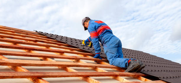 Best Roof Coating and Sealing  in Frent Hills, MO